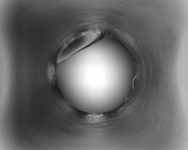 X0000098110480200804111059