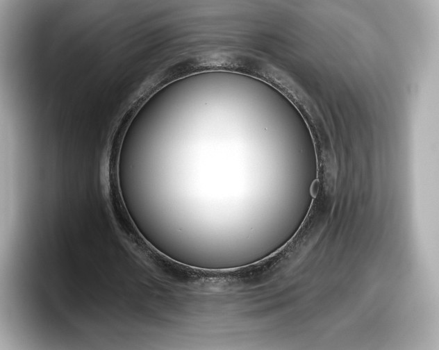 X0000098110482200804111058