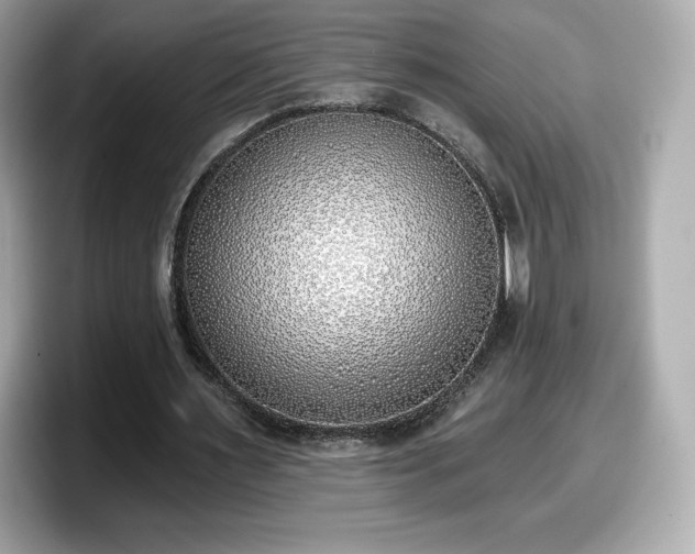 X0000098110483200804111058