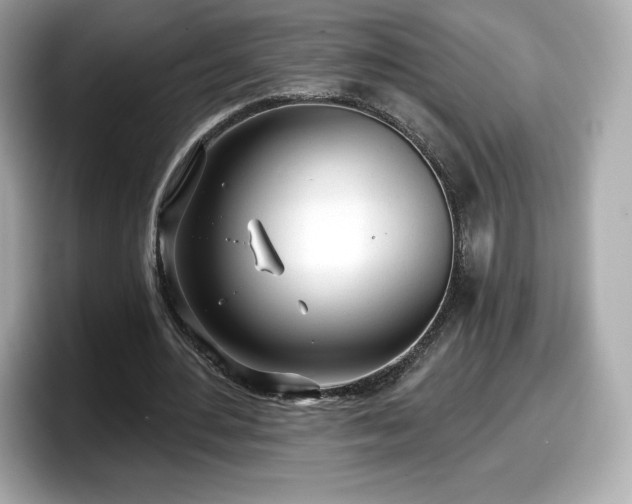 X0000098110484200804111058