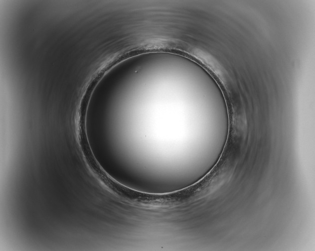 X0000098110485200804111058