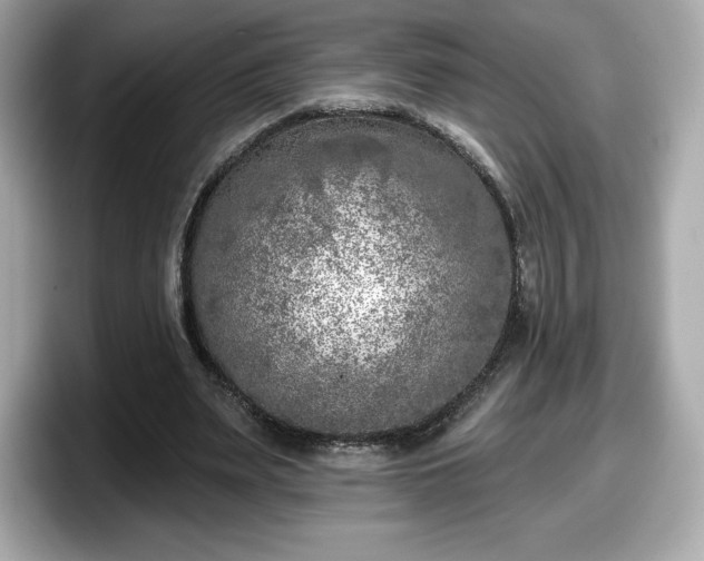 X0000098110487200804111058