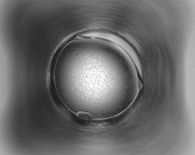 X0000098110488200804111058