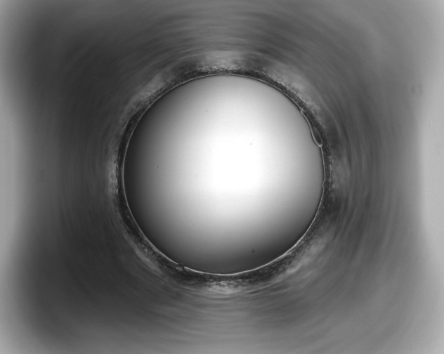 X0000098110489200804111058