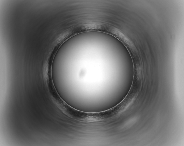 X0000098110490200804111058