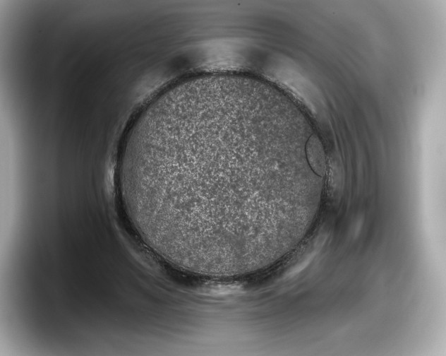 X0000098110491200804111058
