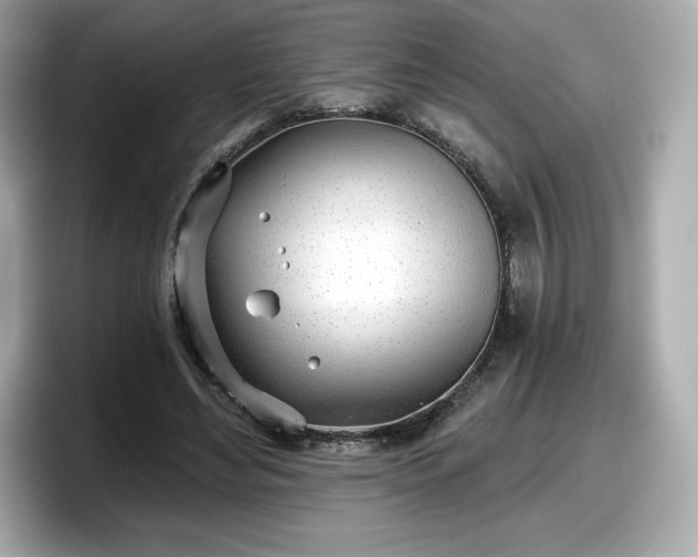 X0000098110492200804111058