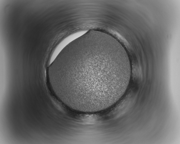 X0000098110493200804111058