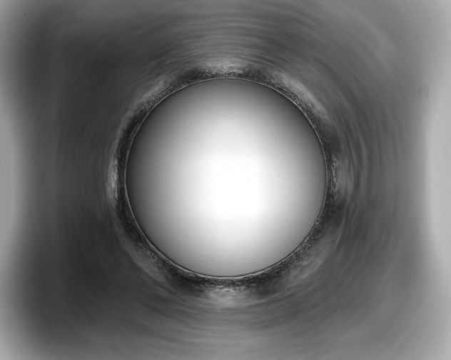 X0000098110494200804111058
