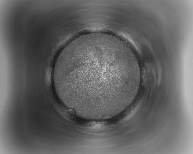 X0000098110495200804111058