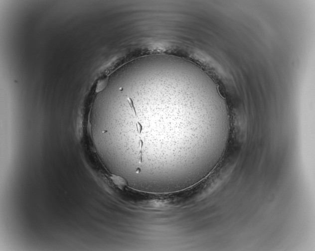 X0000098110496200804111058