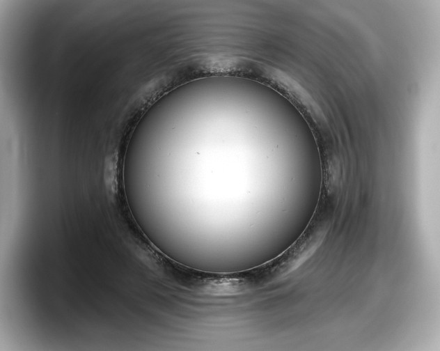 X0000098110497200804111058