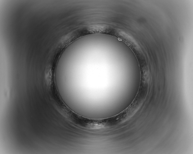 X0000098110498200804111058