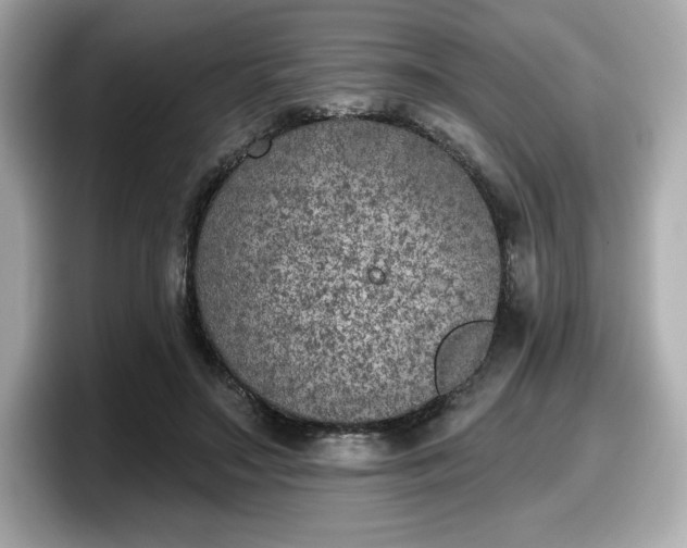 X0000098110499200804111058
