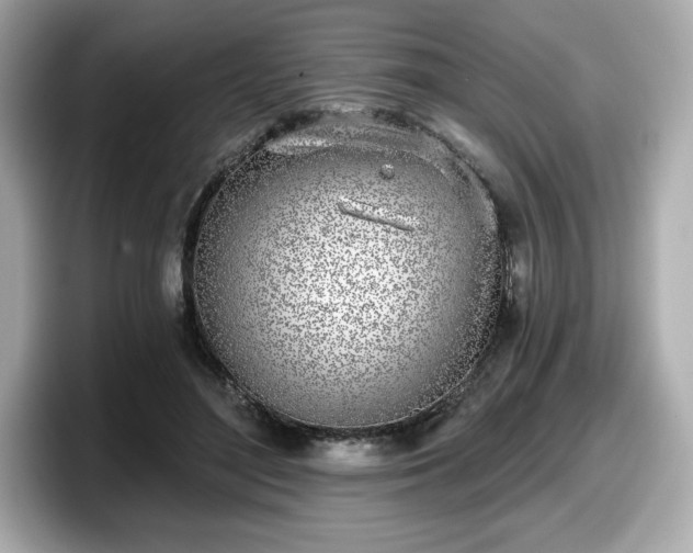 X0000098110500200804111058