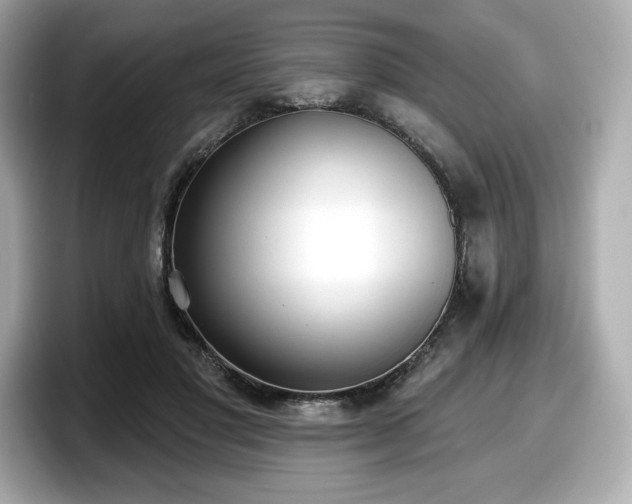 X0000098110501200804111058
