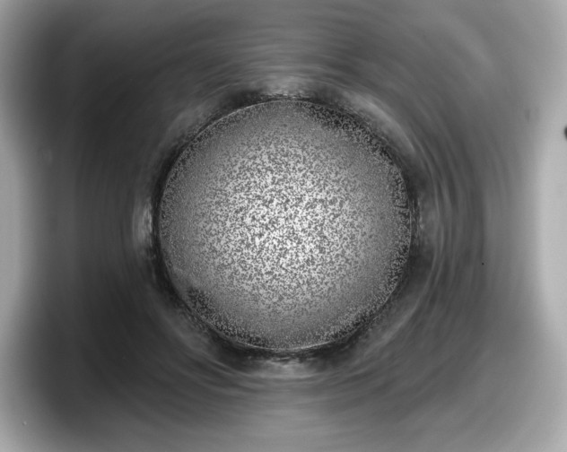 X0000098110502200804111058
