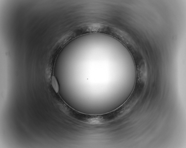 X0000098110505200804111058