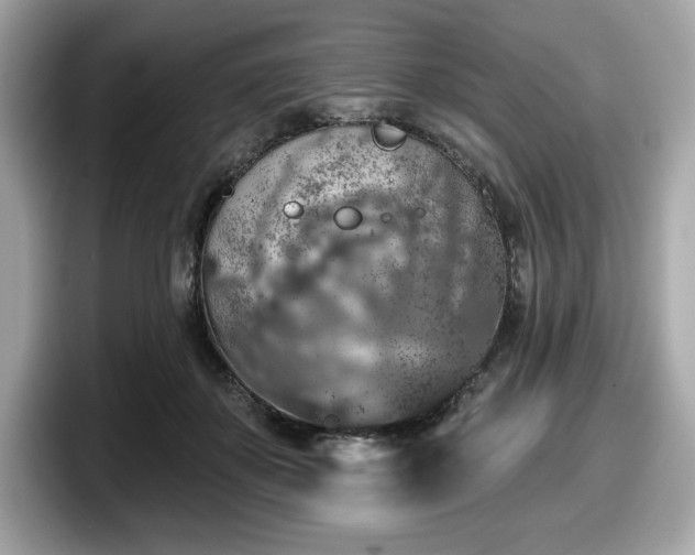 X0000098110507200804111058