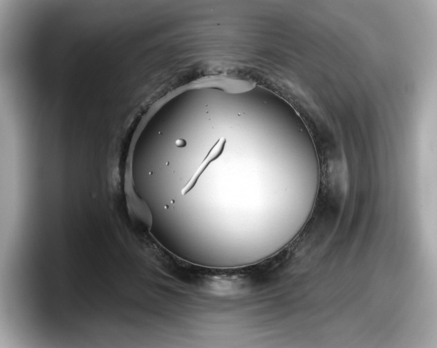 X0000098110508200804111058