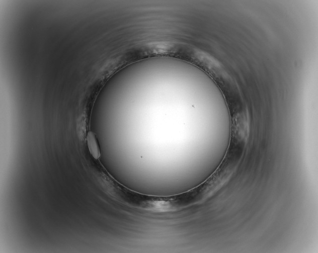 X0000098110509200804111058