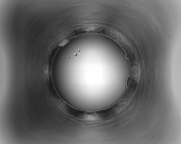 X0000098110510200804111058