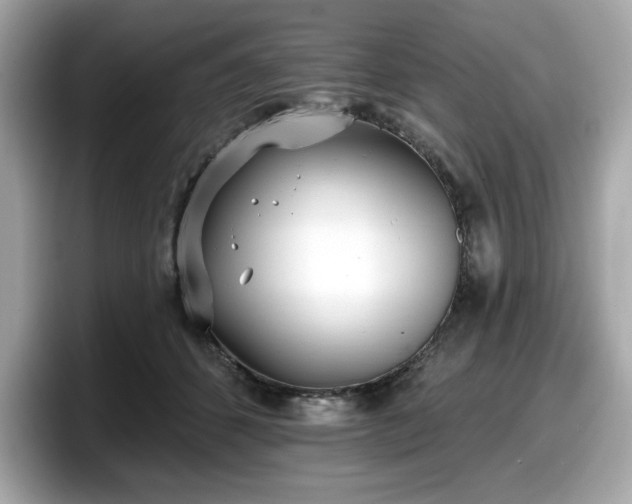 X0000098110512200804111058