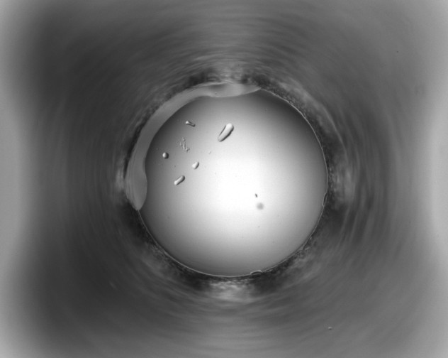 X0000098110516200804111058
