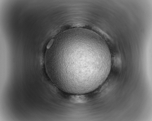 X0000098110517200804111058