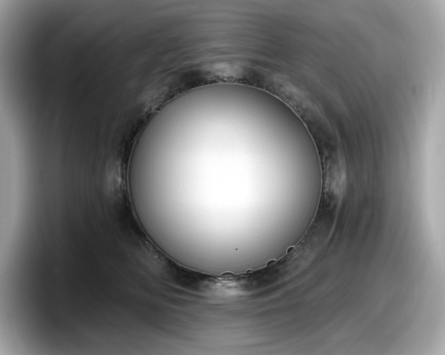 X0000098110518200804111058