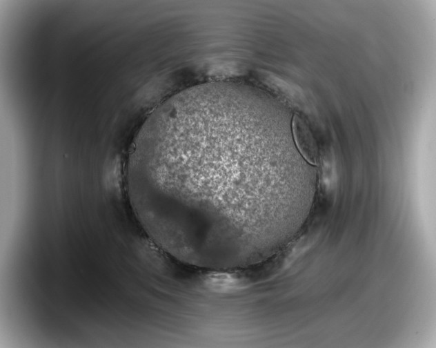 X0000098110519200804111058