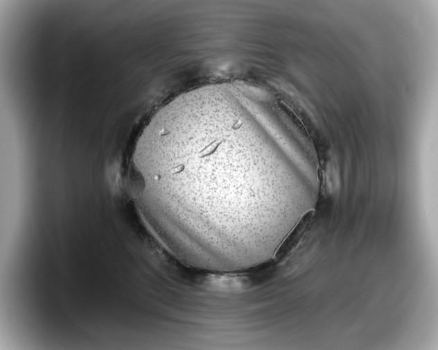 X0000098110520200804111058