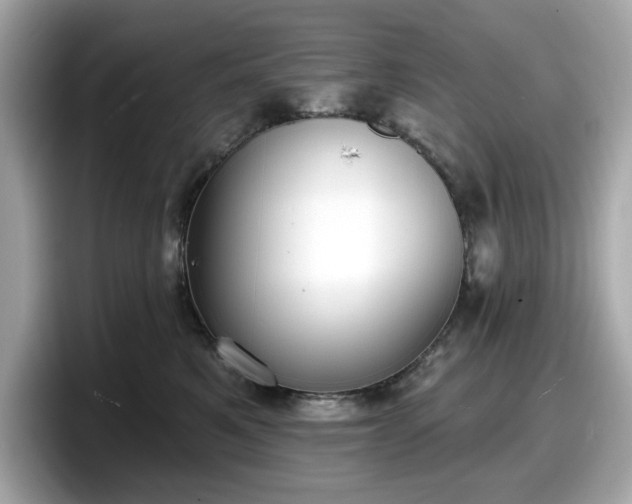 X0000098110521200804111058