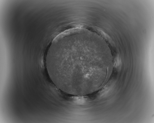 X0000098110524200804111058
