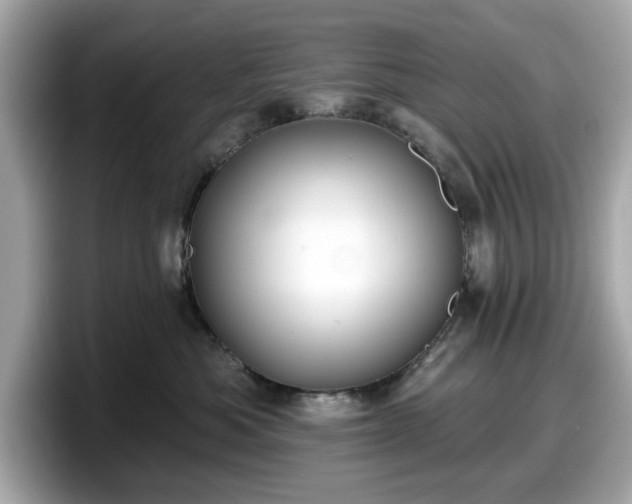 X0000098110525200804111058