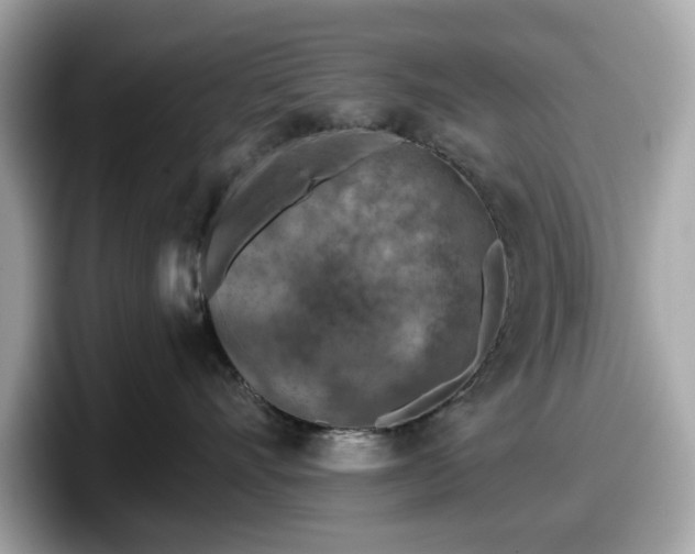 X0000098110528200804111057
