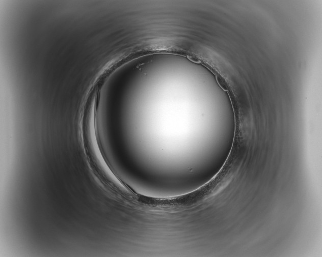 X0000098110530200804111057
