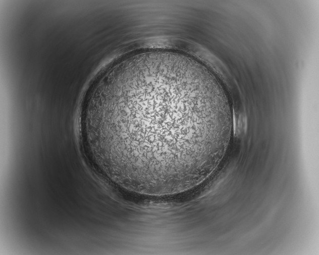 X0000098110531200804111057