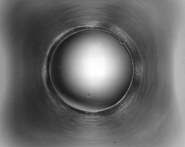 X0000098110532200804111057