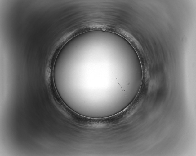 X0000098110533200804111057