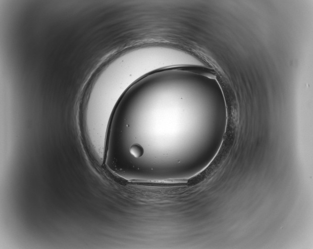 X0000098110534200804111057