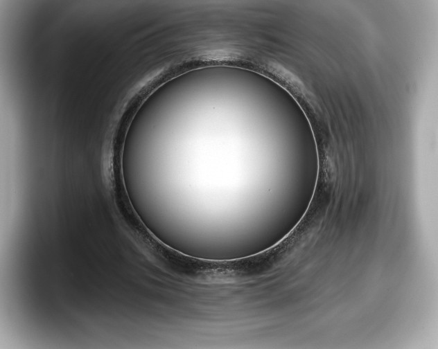 X0000098110535200804111057