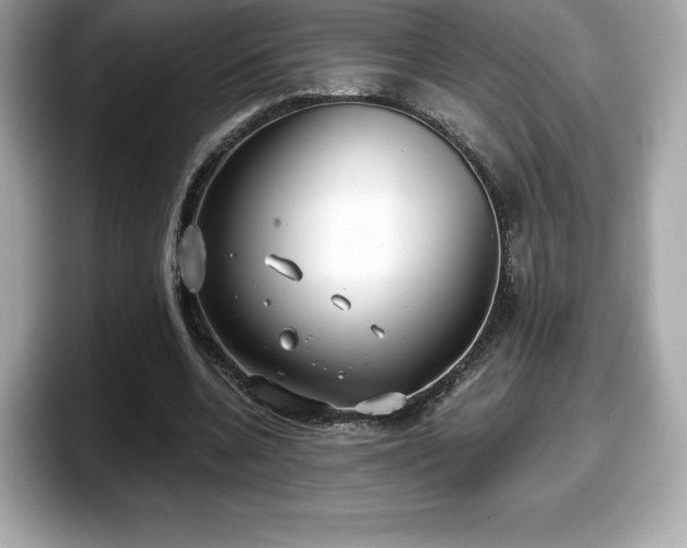 X0000098110536200804111057