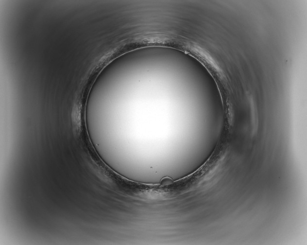X0000098110537200804111057