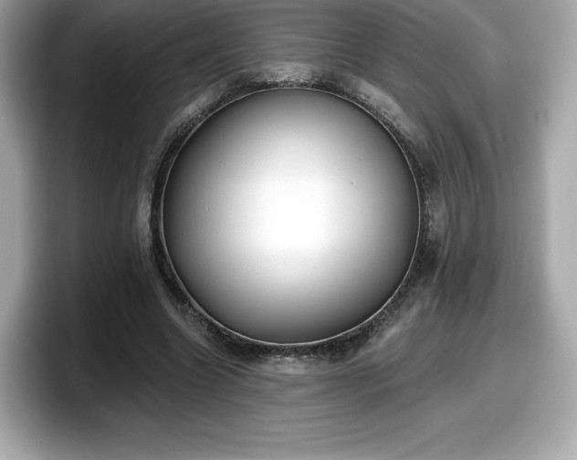 X0000098110538200804111057