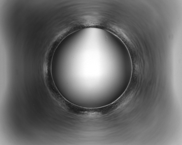 X0000098110539200804111057