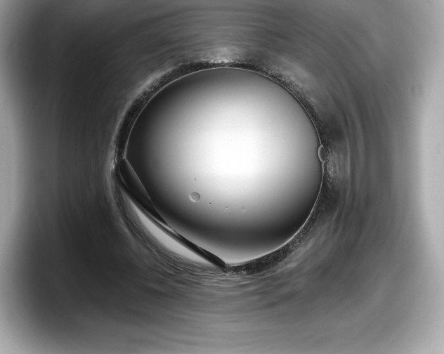 X0000098110540200804111057
