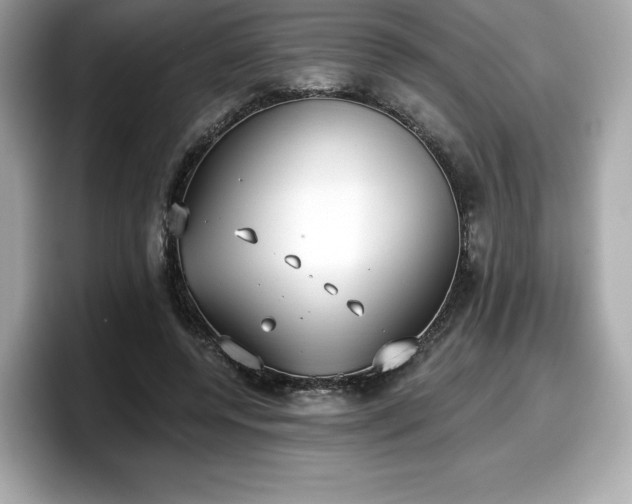 X0000098110544200804111057