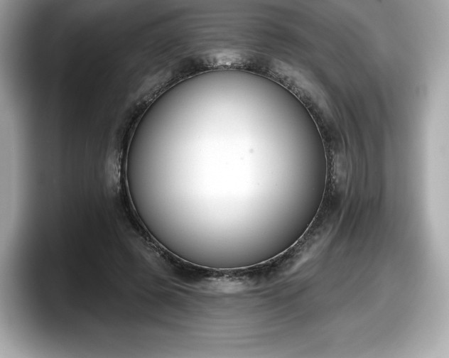 X0000098110545200804111057