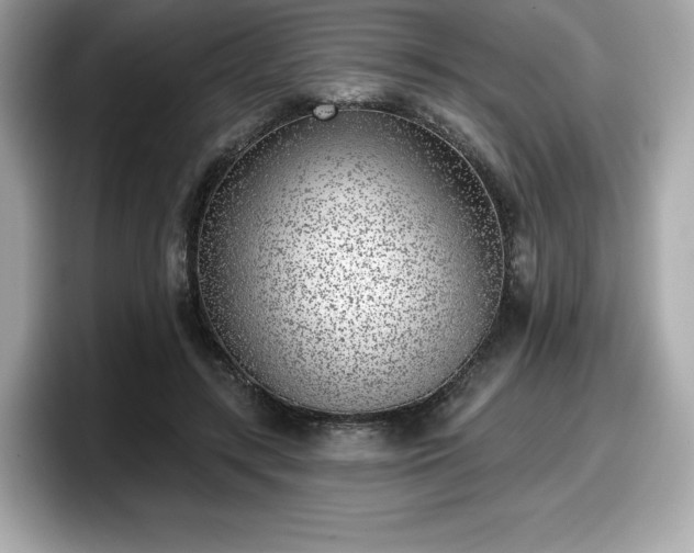 X0000098110547200804111057